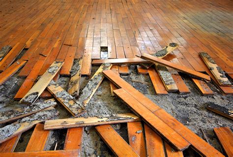 What destroys hardwood floors?